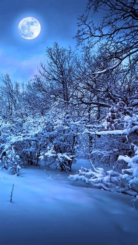Best 7 Winter Wallpapers Hd For Your Android Or Iphone Wallpapers