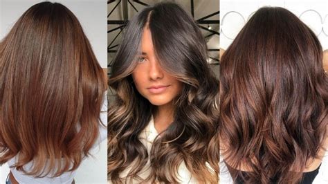 Chestnut Hair Color With Highlights