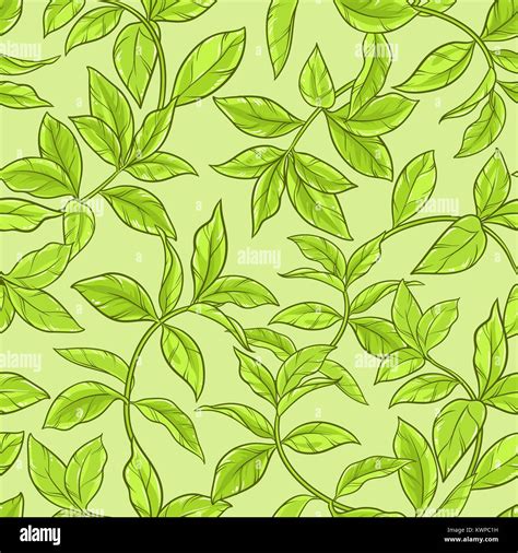 Green Tea Leaves Seamless Pattern On Color Background Stock Vector
