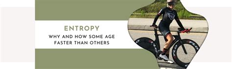 Entropy Why And How Some Age Faster Than Others