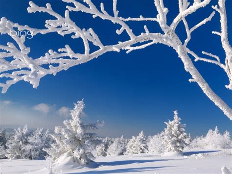 Free Download Bing Wallpaper And Screensaver Pack Winter
