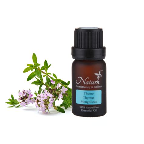 Parchem fine and specialty chemicals is a leading supplier of essential oils. Essential Oil Supplier Malaysia