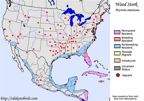 Wood Stork Species Range Map
