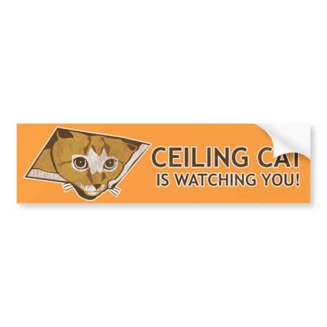 This is quite a funny minecraft conversion. Ceiling Cat is watching you! Car Bumper Sticker | Zazzle