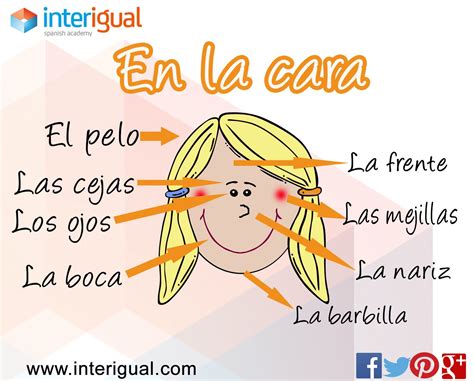 The Face Spanish La Cara Español Aprender Español Caras Vocabulario