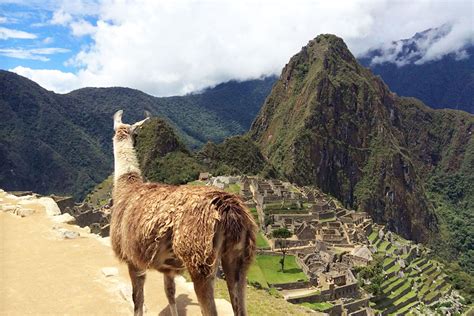 Machu picchu private guide service from aguas calientes. Machu Picchu | Peru Grand Travel