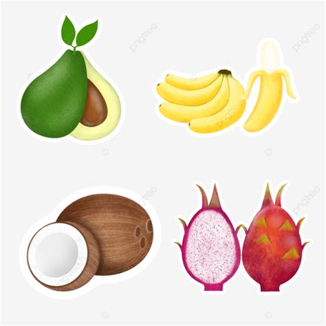 Fruits Watercolor Sticker Pack Fruits Watercolor Illustration
