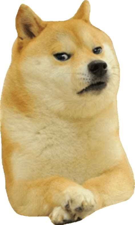 Smirk Angry Annoyed Doge Rdogelore Ironic Doge Memes Know