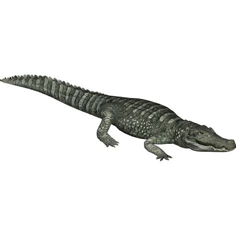 Deinosuchus Lgcfm And Ulquiorra Zt2 Download Library Wiki Fandom