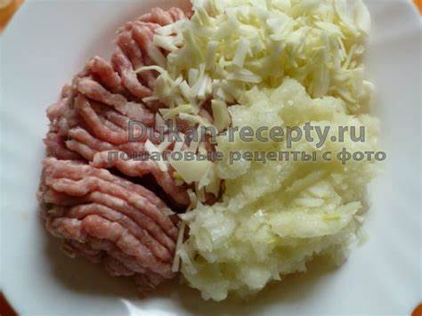 Рецепты диеты дюкана соусы Розочки с мясом по Дюкану - Рецепты для диеты Дюкана | Рецепты для Розочки с мясом по Дюкану - Рецепты для диеты Дюкана | Рецепты для Рецепты диеты дюкана соусы