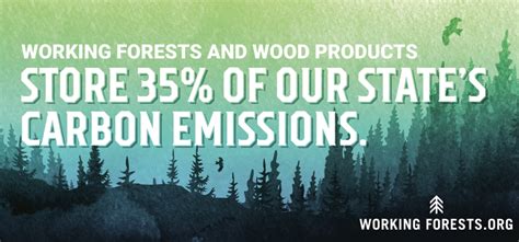 Forest Landowners Launch Washington Ad Campaign Washingtons Working