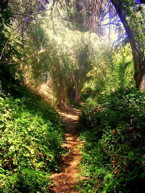 Prospect Park, Redlands, Ca | Redlands, Beautiful landscapes, Prospect park