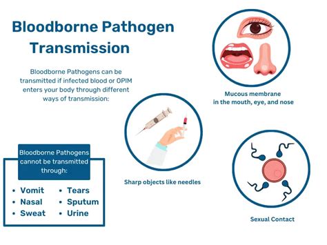 Blood Borne Pathogen Bbp Study Guide Cpr Select