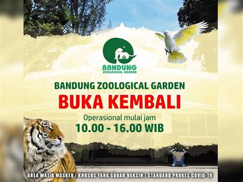 Mulai 27 September 2021, Kebun Binatang Bandung Dibuka Kembali, Ini