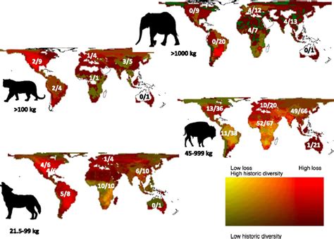 pleistocene megafauna then and now mapporn