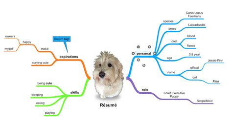 What Kind Of Mind Maps Can I Make With Simplemind Pro Simplemind