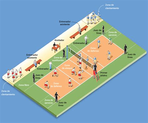 Total Imagen Posiciones En Un Equipo De Voleibol Viaterra Mx