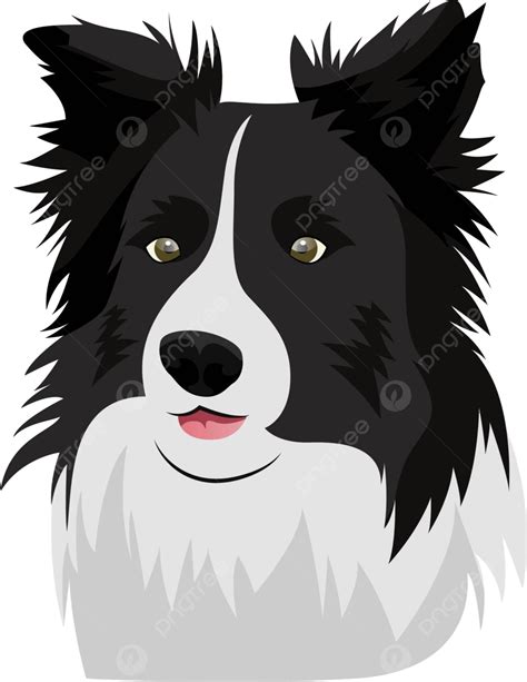 Border Collie Illustration Vector On White Background Breed Silhouette