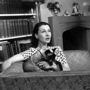 Vivien Leigh And Her Cat Cats Photo 40753221 Fanpop