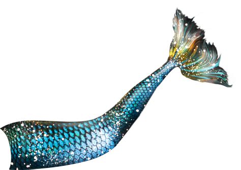 Mermaid Tail Png Images Transparent Background Png Play