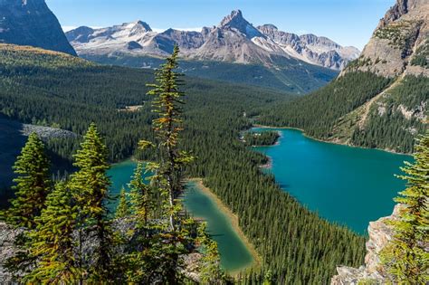 Guide To Hiking Lake Ohara Day Vs Overnight Trip Bc Canada