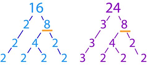 worksheet. Prime Factorization Tree. Worksheet Fun Worksheet Study Site