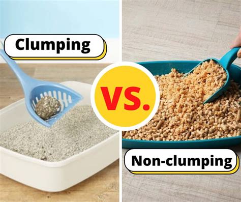 Clumping Vs Non Clumping Cat Litter Which Is Better