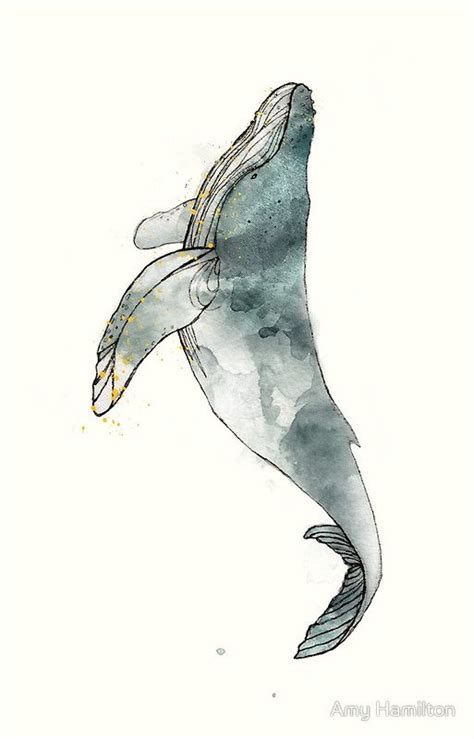 Individual whales have been identified by researchers and given an id. 'Humpback Whale' iPhone Case by Amy Hamilton in 2019 | for ...