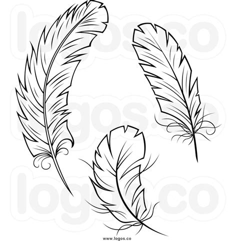 12 Feather Clip Art F Feathers Clip Art Clipartlook