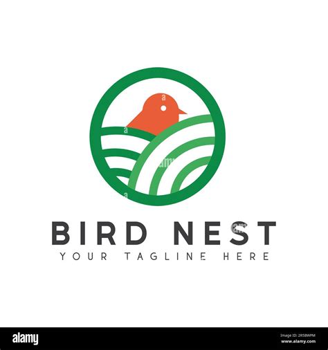 Bird Nest Logo Design Green Nature Icon Stock Vector Image And Art Alamy
