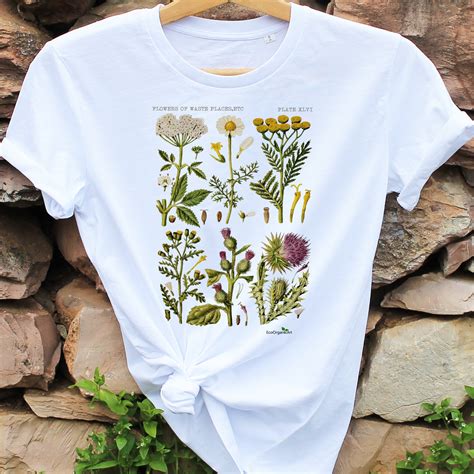 Botanical Tshirt 100 Organic Cotton Antique Botanical Print Etsy Canada