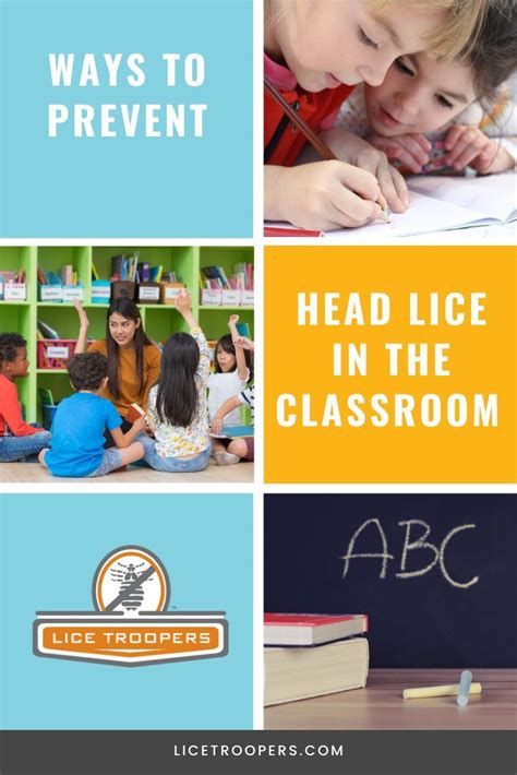 Ways To Prevent Hair Lice In The Classroom Head Lice Prevention Lice