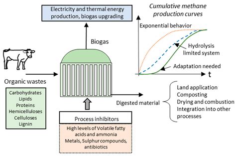 Fuels Free Full Text Biogas Production From Organic Wastes