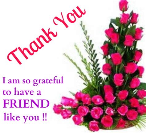 I can't thank you enough. Thank You My Friend For Everything! Free Friends eCards ...