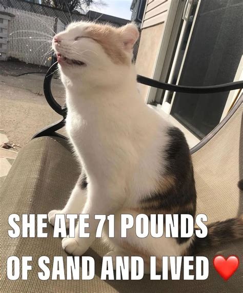 He Has Died Of 71 Pounds Of Sand He Ate 71 Pounds Of Sand And Died