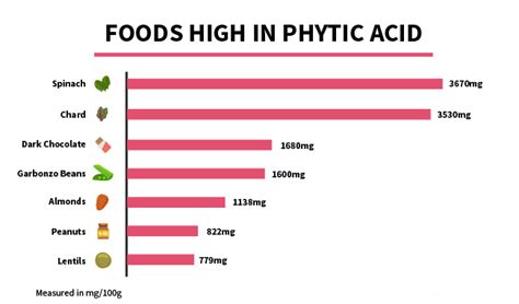 Foods High In Phytic Acid