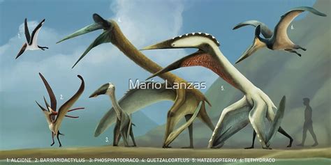 Gigants Of The Cretaceous Skies Azhdarchidae Largest Pterosaurs By Mario Lanzas Redbubble