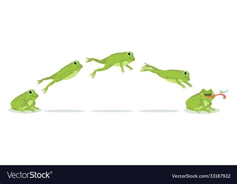 Frog Jump Various Frog Jumping Animation Sequence Vector Image