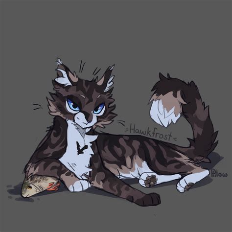 Hawkfrost By Graypillow On Deviantart Animasi Tas