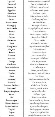 Scientific names, also known as 'scientific nomenclature' are binomial phrases that consist of combining a genus and species specific word. ROAD OF ROYAL REISS ®: Scientific Name of Plants