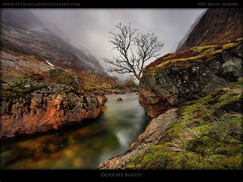 Di Fruscia Photography Wet Valley Norway Gallery Of Some Of The Best