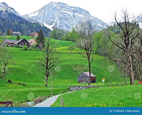 Cattle Farms And Rural Architecture On The Slopes Of The Swiss Alps And
