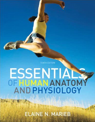 9780321695987 Essentials Of Human Anatomy And Physiology 10th Edition