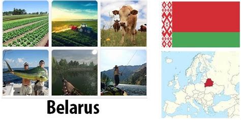 Belarus Agriculture And Fishing Overview Smber