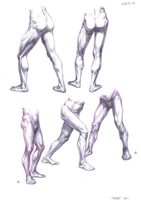 How to draw the human back muscles, reference of trapezius muscle. 'leg drawing reference' in Drawing References and Resources