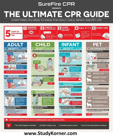 The Ultimate CPR Cheat Sheet/Guide For Adult Child Infant & Pet | CPR