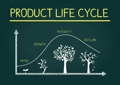 What Are The Four Product Life Cycle Stages Professional Leadership Institute