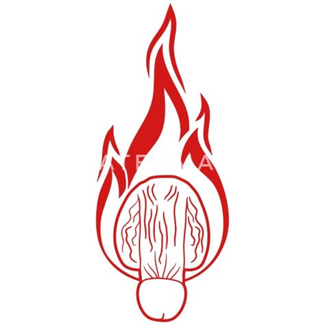 Cock Fire Penis Flames Hot Burning Balls Sack Sex Mens T Shirt