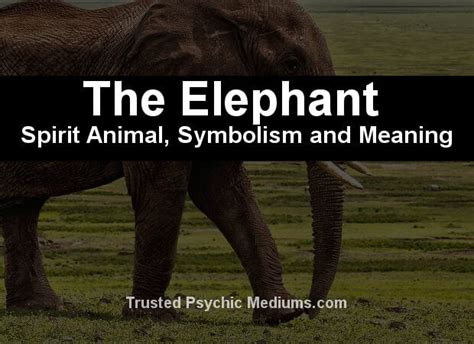 The Elephant Spirit Animal A Complete Guide To Meaning And Symbolism