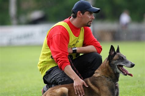 🥇el Mejor Curso De Obediencia Básica Canina Adiestrador Canino